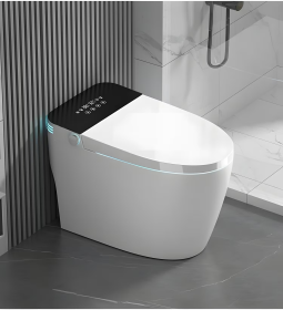 Integrated Bidet Toilet