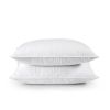 Set of 2 Machine Washable Down Feather Blend Pillow in King size