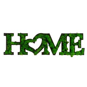 HOME Letter Art Moss Wall Hangings